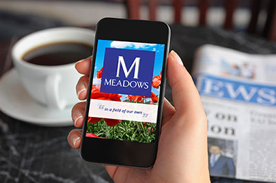 meadows-taxapp.jpg